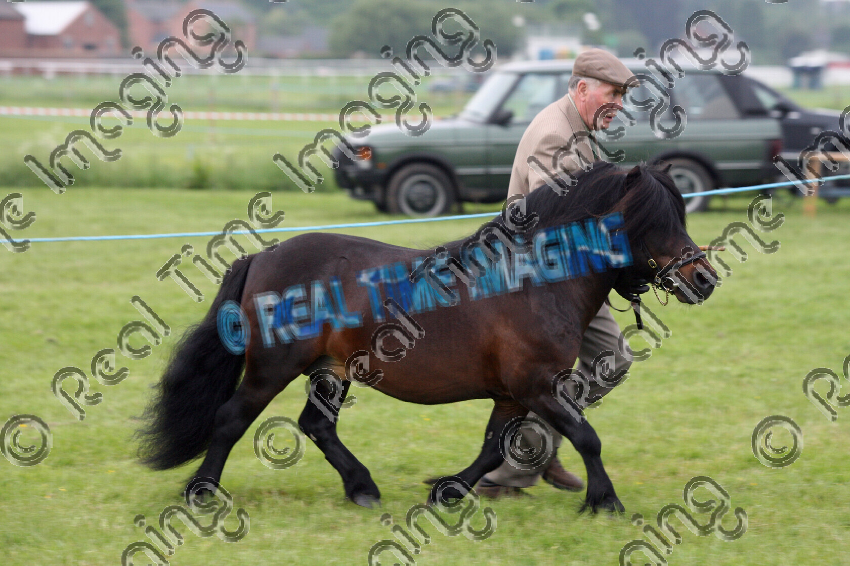 S08-22-16-006 
 Keywords: Midland Counties Show, Uttoxeter Racecourse, UK, Sunday, 1 June, 2008, view landscape, NPS, Kilmannan Stud, Silver Medal, Championship, Supreme, In Hand, 1st first, Champion, winner win won, 1582, BIRCHMOOR MULBERRY, `Owner: , `Handler: , B H Joyner, dark, Bay, stallion, Shetland Pony, Native Breed, Rosette, trot, lap of honour, flat