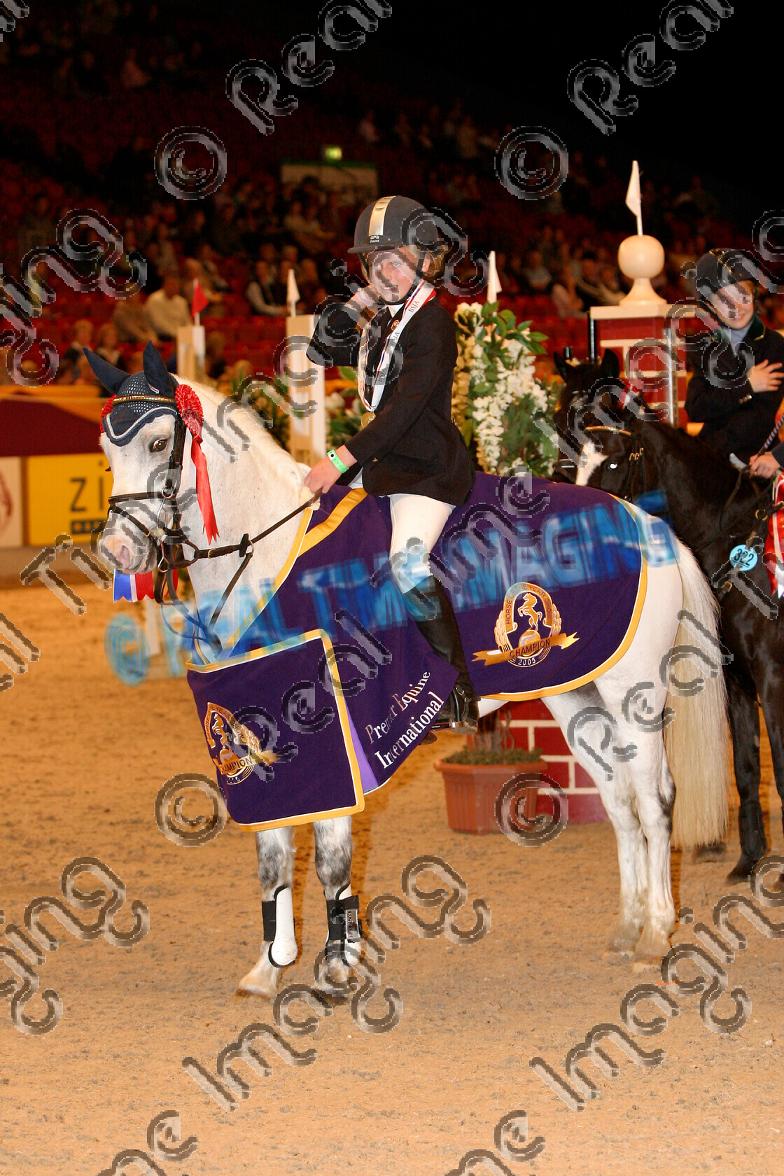 S05-67-M2-088 
 HOYS 2005: HOYS 128cms Champion 
 Keywords: horse of the year show 2005 05 hoys saturday 15 10 october showjumping showjumper 10 128cms Champion 321 Silver Wonder Pippa Allen grey gray standing presentation rug trophy rosette