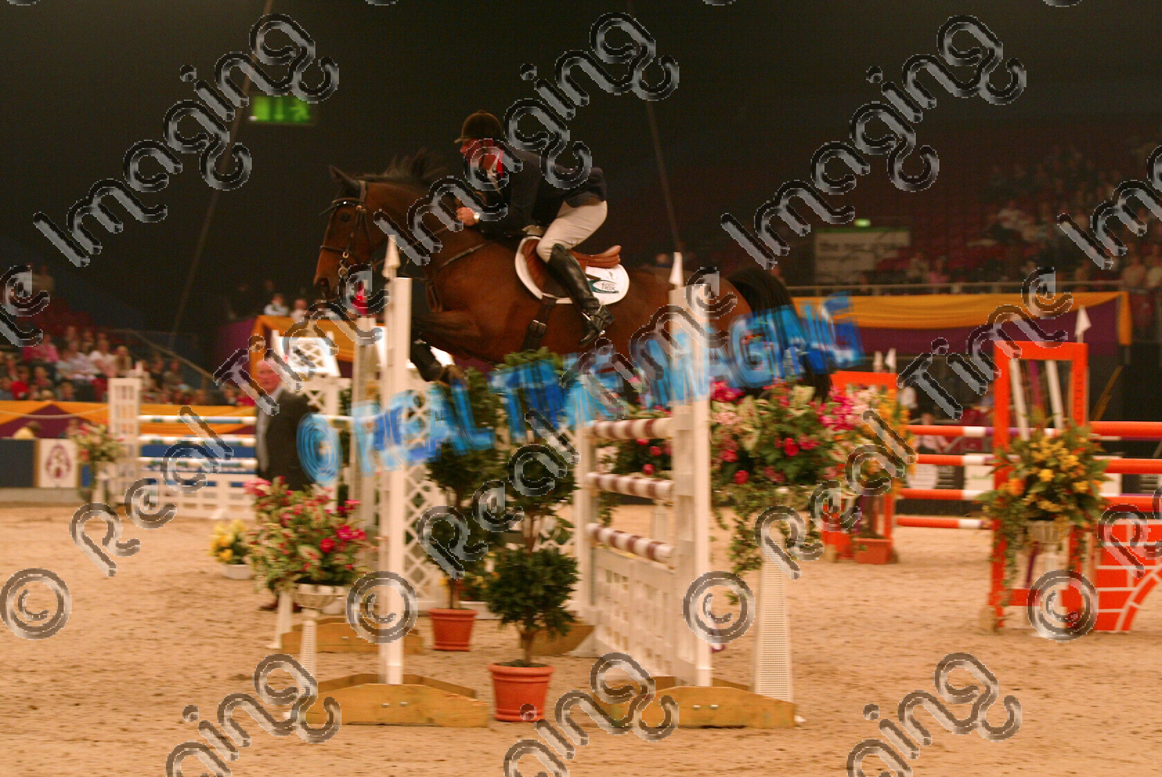 S05-67-T5-004 
 HOYS 2005: The Xerox Special Event Services Cup winner 
 Keywords: horse of the year show 2005 05 hoys saturday 15 10 october 20 Xerox Special Event Services Cup winner 9 Marleen Geoff Luckett bay mare jump jumping fence action showjumping showjumper