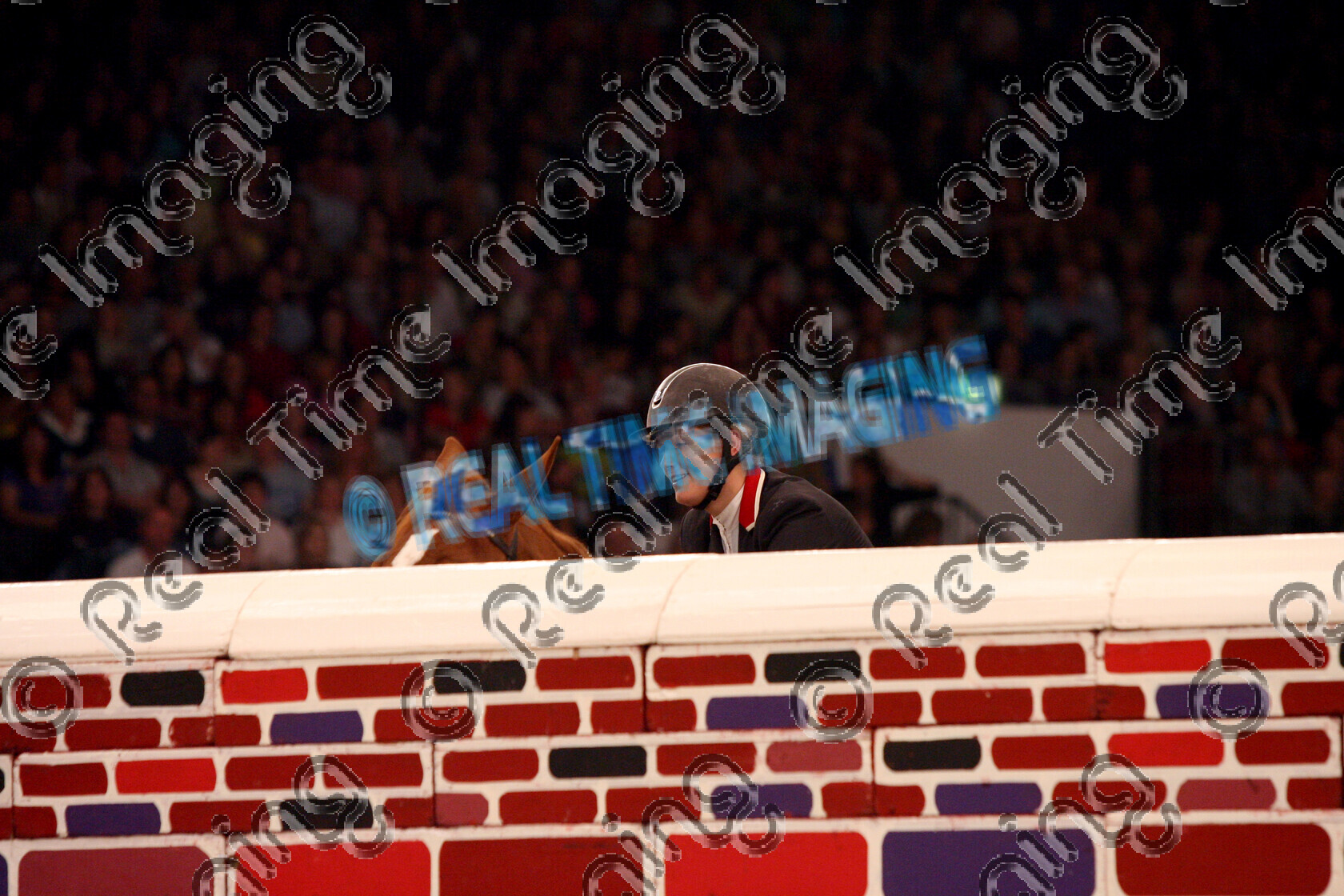 S08-58-10-077 
 Keywords: The Horse Of The Year Show, HOYS, NEC Arena, Birmingham, UK, Saturday, 11, October, 2008, view landscape, indoors, The Puissance, 78, TWISTER, `Owner: , Biddle, Julia, `Rider: , Laura Renwick, chestnut, mare, showjump, wall