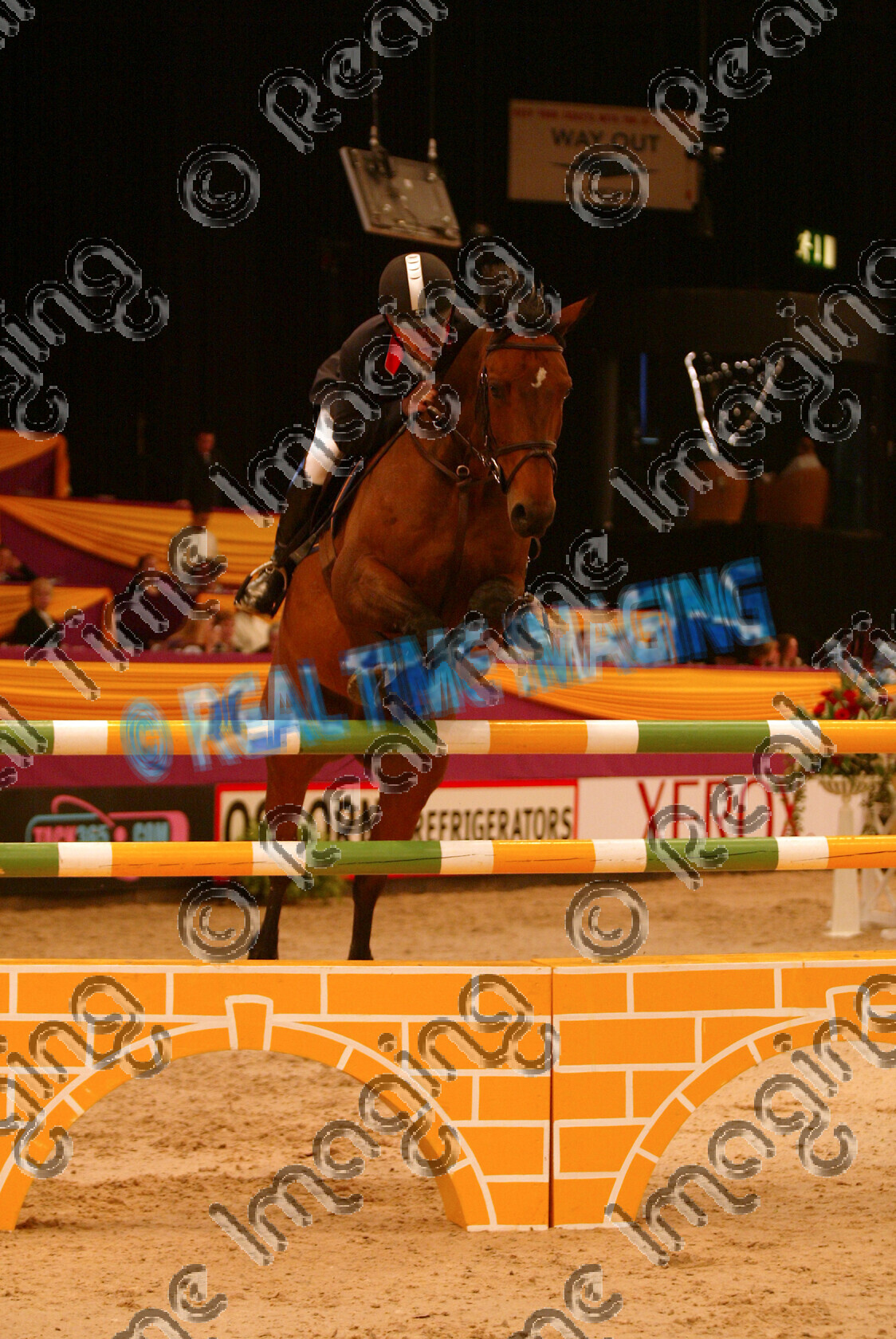 S05-65-T5-050 
 HOYS 2005: HOYS National Challenge (2nd Competition) Winner 
 Keywords: horse of the year show 2005 05 hoys october showjumping showjumper 10 13 6 national challenge winner 123 linaro lee williams thursday