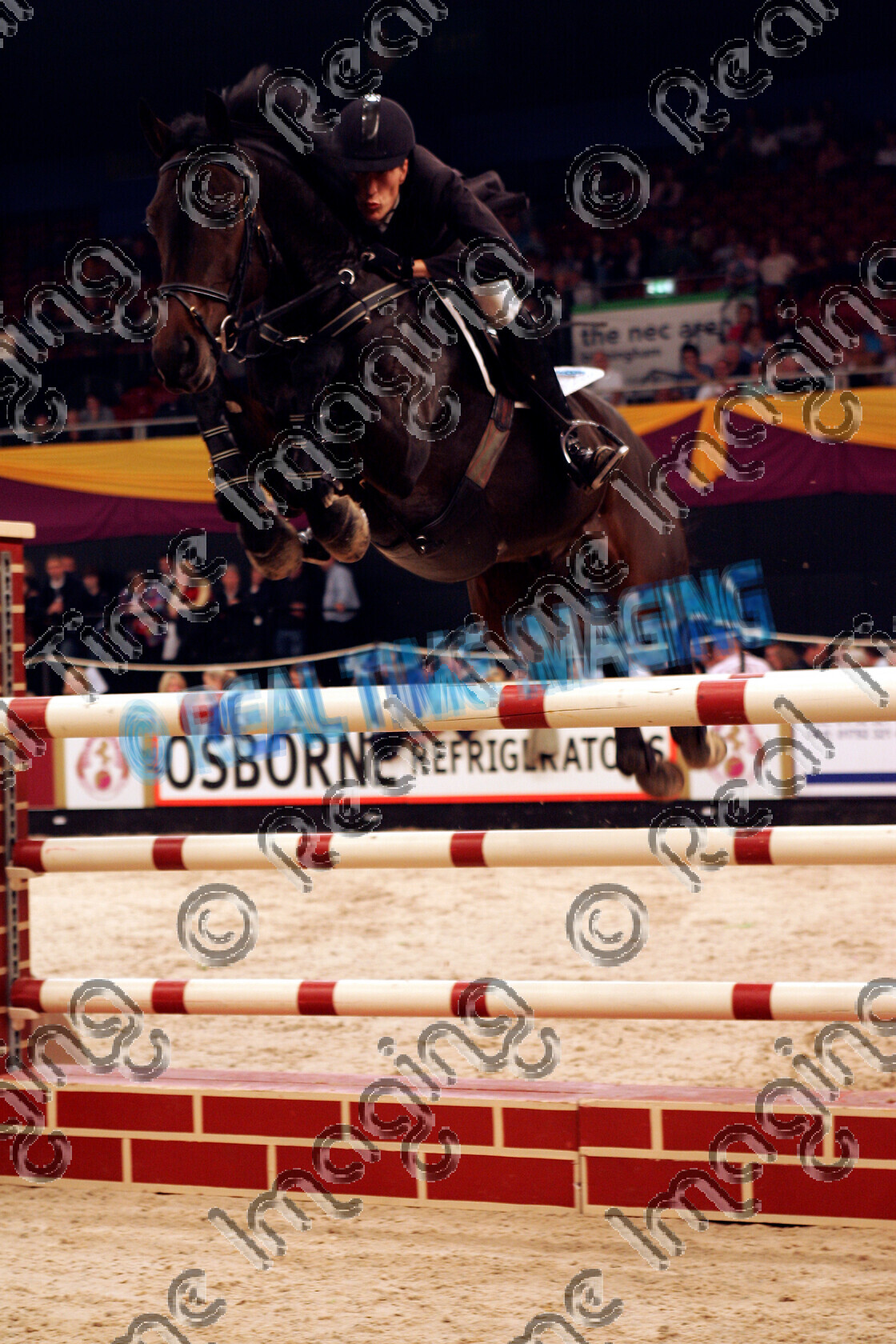 S05-64-14-064 
 HOYS 2005: Royston Products 7 Year Old Championship winner 
 Keywords: horse of the year show 2005 05 hoys wednesday 12 10 october 5 Royston Products 7 Year Old Championship winner 223 carisco Christian Weier showjumping showjumper jump jumping fence action