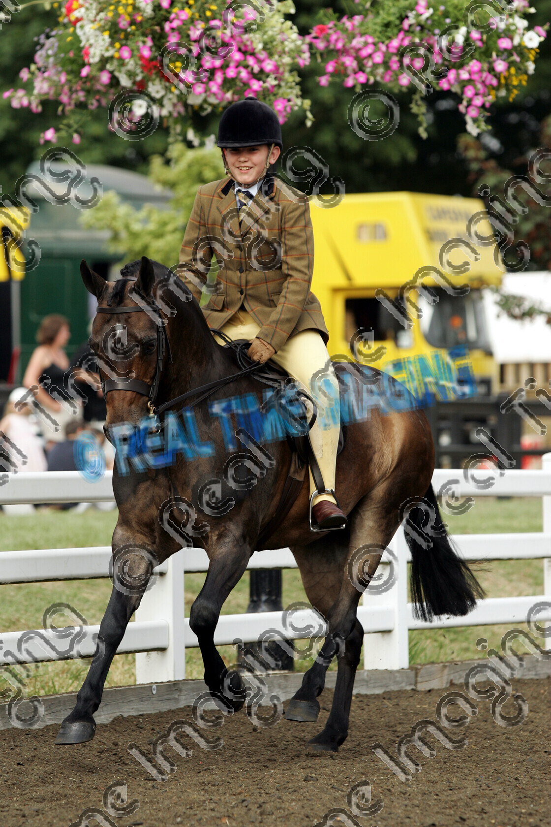 S06-30-10-029 copy 
 Keywords: The Royal Show 713 Stambrook Pivotal ridden by Anthony Blundell Dark bay gelding Show Hunter Pony rosette rosettes prize winner Sunday 2 July 2006 canter moving action canter cantering action championship champion ridden mounted