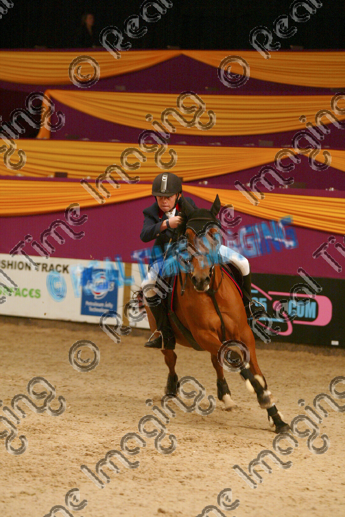S05-66-T2-054 
 HOYS 2005: Blue Chip Junior Newcomers Champion 
 Keywords: horse of the year show 2005 05 hoys october 10 14 friday showjumping showjumper192 Stainsby Style Matthew Sampson bay 8 Blue Chip Junior Newcomers Champion action turn flat canter gallop