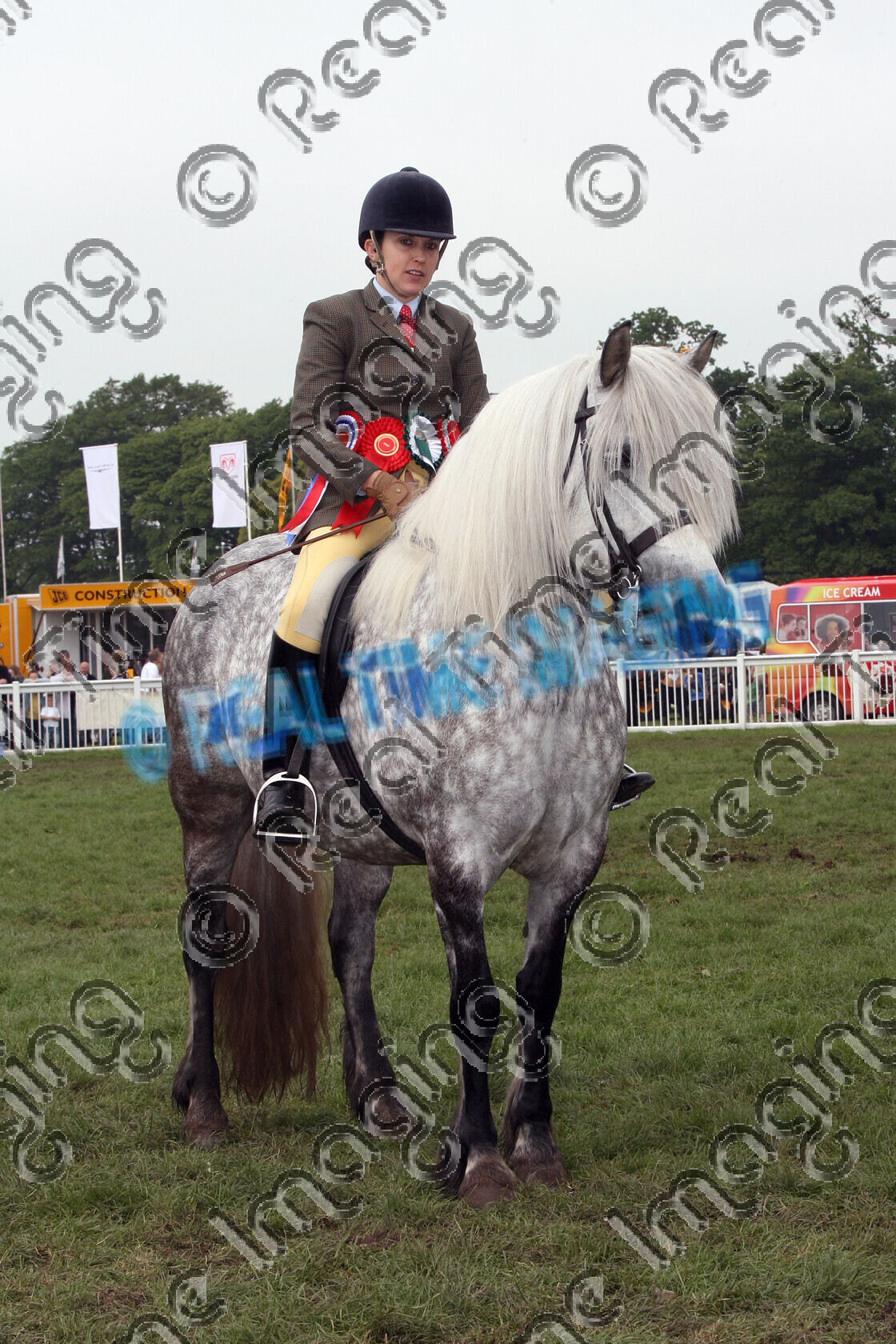 S08-21-04-063 
 Keywords: Staffordshire County Show, Staffrord County Showground, Thursday, 29 May, 2008, upright portrait, RIHS, Ridden, Mountain and Moorland M&M, Championship, 1st first, Champion, winner win won, 671, GIGHA OF CARWNG, `Owner: , Edmunds, Mrs Eve, `Rider: , Lizzie Bryant, dappled grey gray, mare, Highland, Rosette, presentation, stand