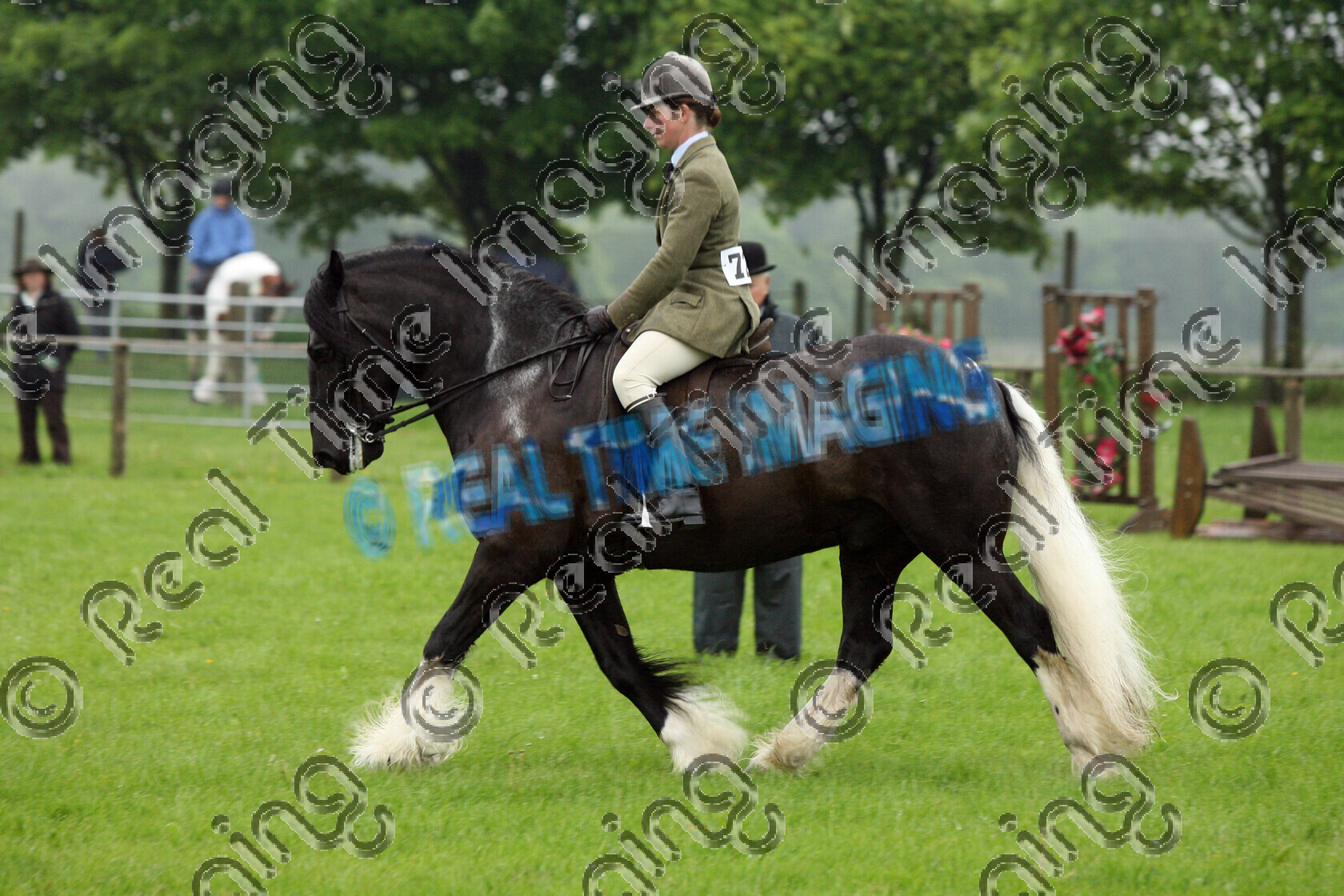 S08-20-01-121 
 Keywords: Staffordshire County Show, Staffrord County Showground, Wednesday, 28 May, 2008, view landscape, Ridden, Coloured, Championship, 1st first, Champion, winner win won, 725, LONGDON DOMINO, `Owner: , Hollinshead, Sarah, `Rider: , Jill Wormall, coloured colored paint, piebald, Gelding, trot
