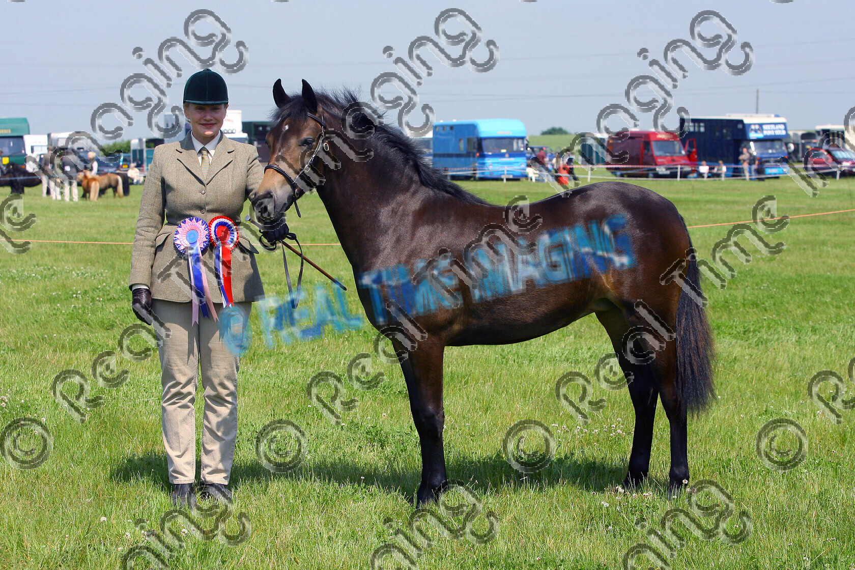 S08-24-M5-035 
 Keywords: East Anglian Native Pony Society Annual Show, Huntingdon Racecourse, Cambridgeshire, UK, Sunday, 8 June, 2008, view landscape, Mountain and Moorland M&M, Native Breed, New Forest, In Hand, Youngstock, Championship, 1st first, Champion, winner win won, 58, BISTERNE DIVA, `Owner: , McLeod, Mrs, yearling, Bay, mealy mouth, filly, Rosette, stand, presentation