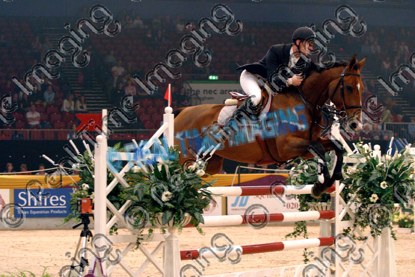 S05-64-M5-081 
 HOYS 2005: HOYS National Challenge winner 
 Keywords: horse of the year show 2005 05 hoys wednesday 12 10 october 2 norton heath senior newcomers winner 144 angelina warren clarke showjumper showjumping jump jumping fence action