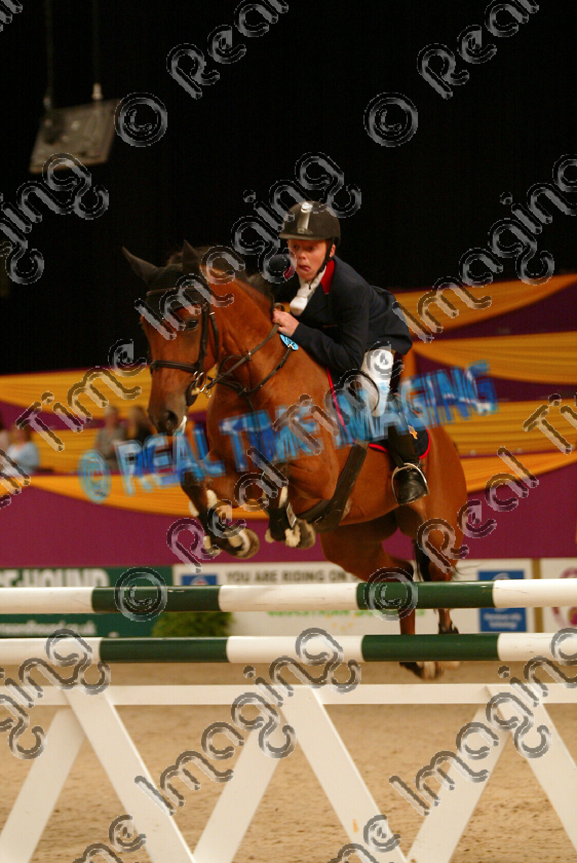 S05-66-T2-007 
 HOYS 2005: Blue Chip Junior Newcomers Champion 
 Keywords: horse of the year show 2005 05 hoys october 10 14 friday showjumping showjumper jump jumping fence action192 Stainsby Style Matthew Sampson bay 8 Blue Chip Junior Newcomers Champion jump jumping action