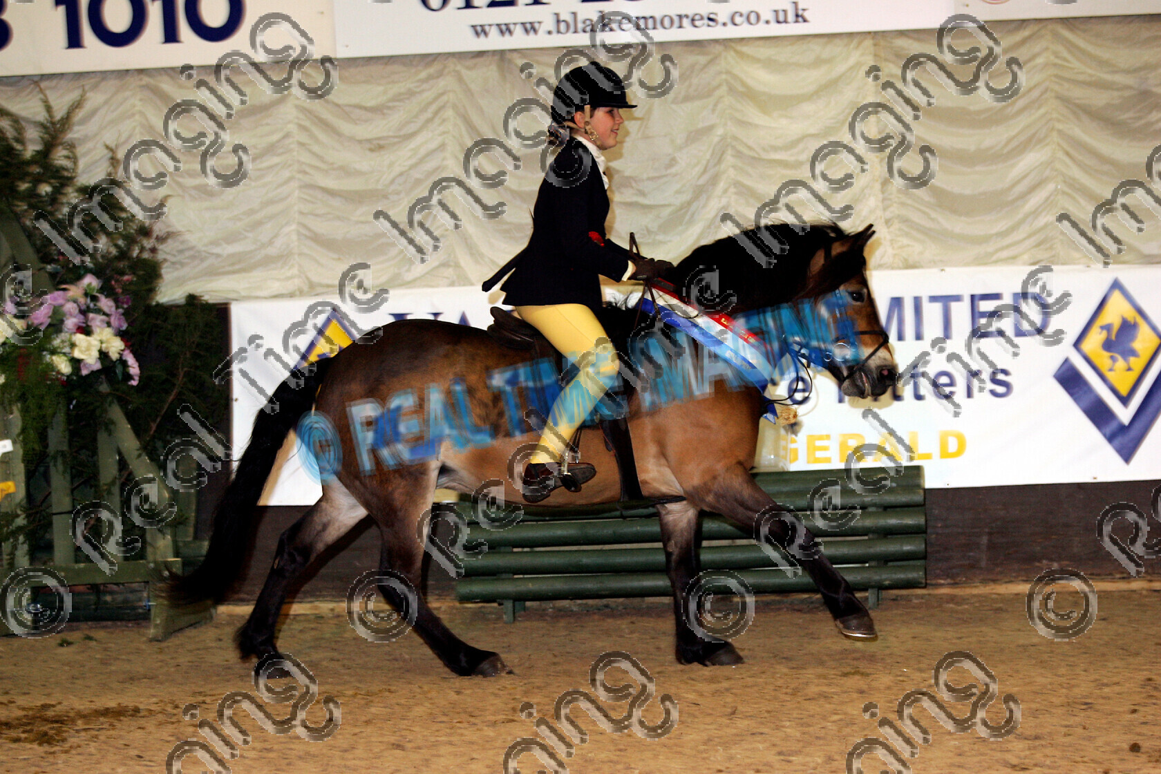 S06-13-15-021 
 BSPS Winter Champs 2006 
 Keywords: BSPS British Show Pony Society Winter Championships April 14 4 06 2006 horse 94 Winter Heritage Novice WHP Champion 1122 TAWBITTS MYSTIC MAGGIE Ella Maltravers brown bay mare exmoor rosette rosettes sash lap honour canter cantering riding winner