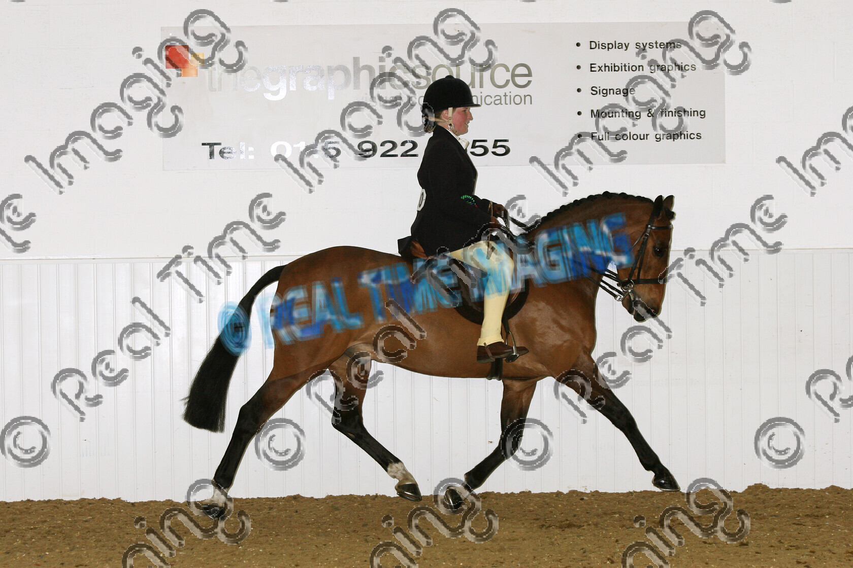 S07-14-15-528 
 Keywords: BSPS Winter Championship Show April 2007 Arena UK winner champion first place top placed Winter Rest WHP Champion 410: HAYSFORD HIDEAWAY HARRY O: Mrs T Aird R: Kirsty Aird Bay Gelding trot trotting action moving flat