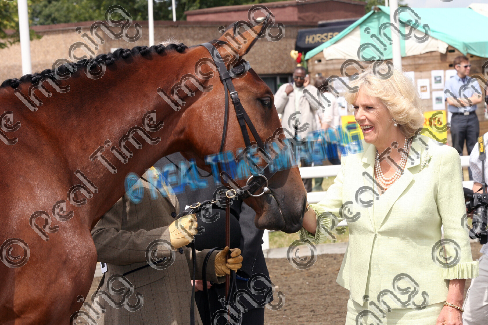 S08-29-04-155 
 Keywords: The Royal Show, Stoneleigh, Warwickshire, UK, Friday, 4 July, 2008, view landscape, Camilla Parker-Bowles, Dutchess of Cornwall, In Hand, Hunter, Breeding