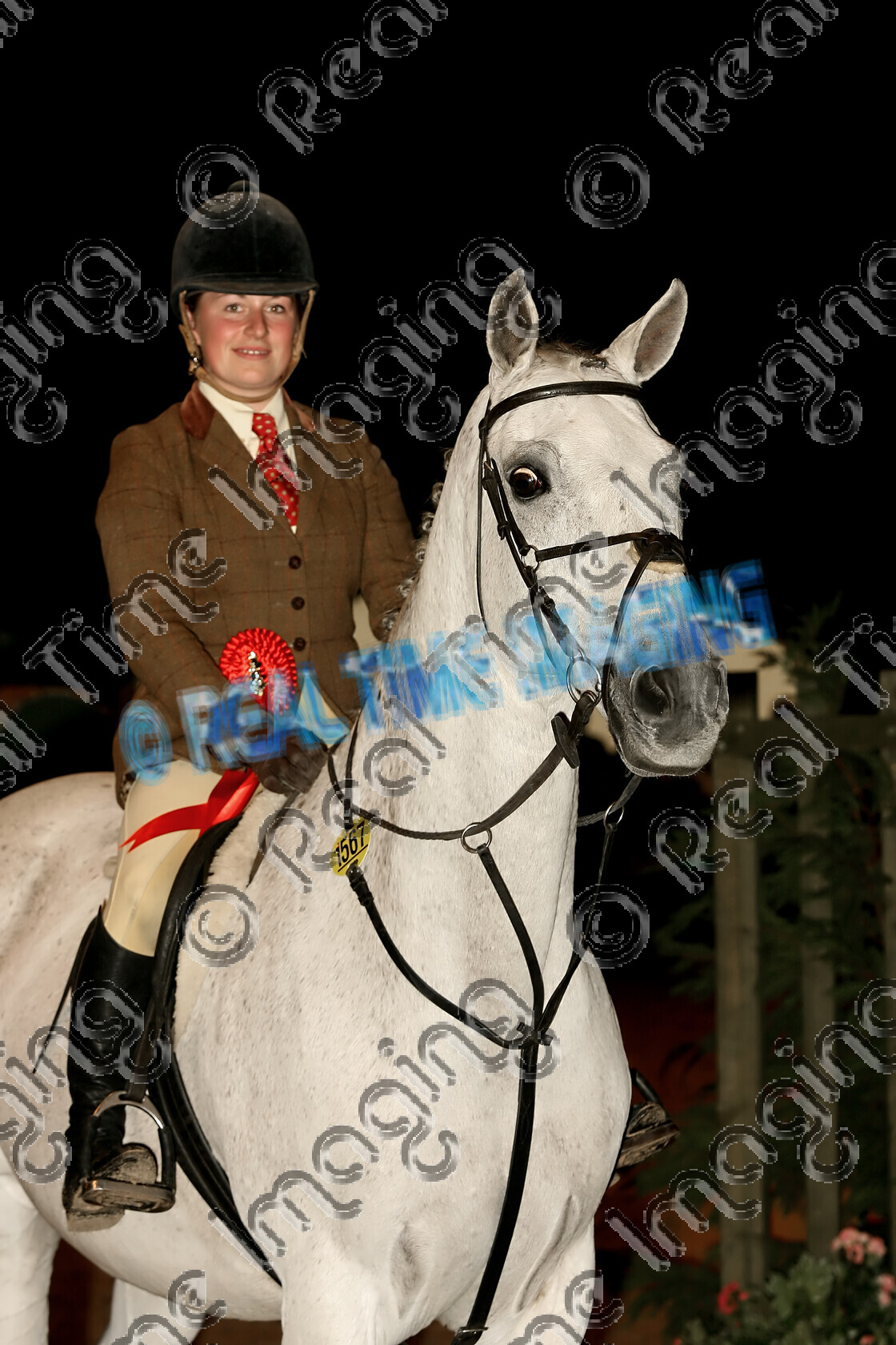 S06-62-7-038 
 Keywords: 1567 PEBBLY GOOSE 8 October 2006 Class 48 The Top Spec Intermediate Working Hunter
Pony of the Year Owner Rider Sarah Challinor The Horse Of The Year Show champion championship gelding grey gray white presentation standing rosette rosettes HOYS