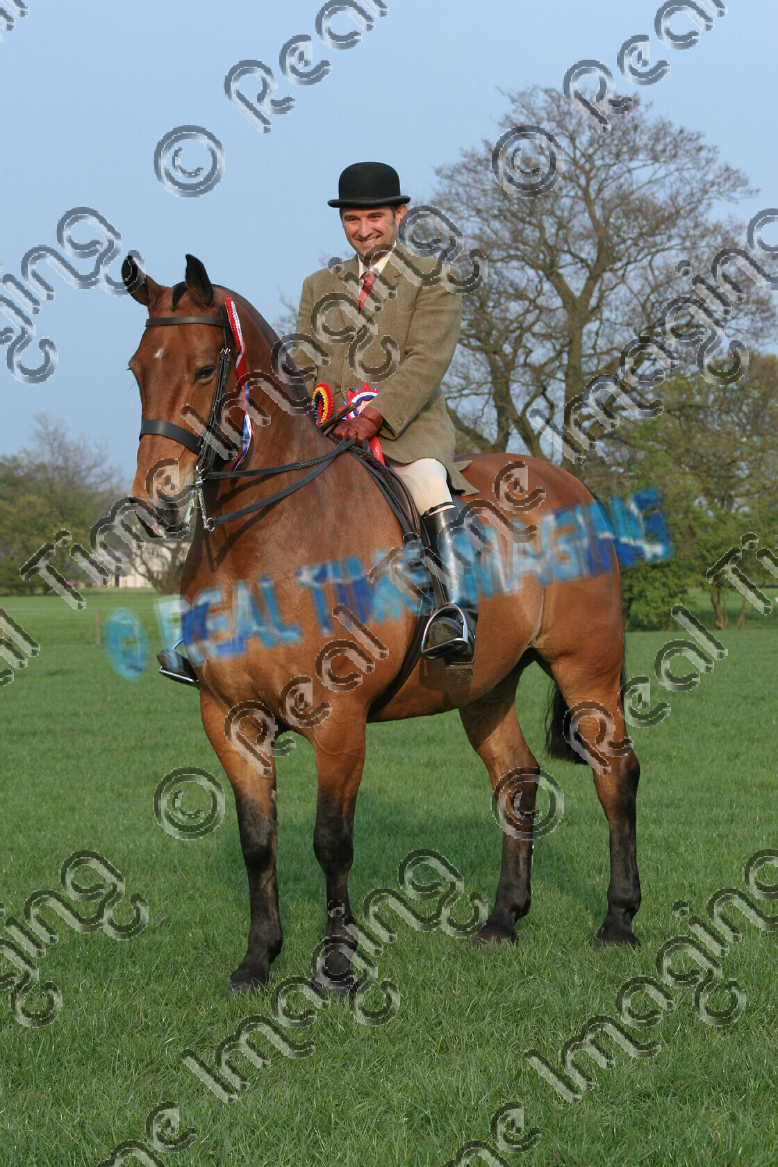 S07-17-05-284 
 Keywords: stand stood Amateur Rider Cob Champion Bay Gelding North Of England Show Spring Dr Bob Ian Darcy Osbaldeston EC horse pony showing Rosette winner won