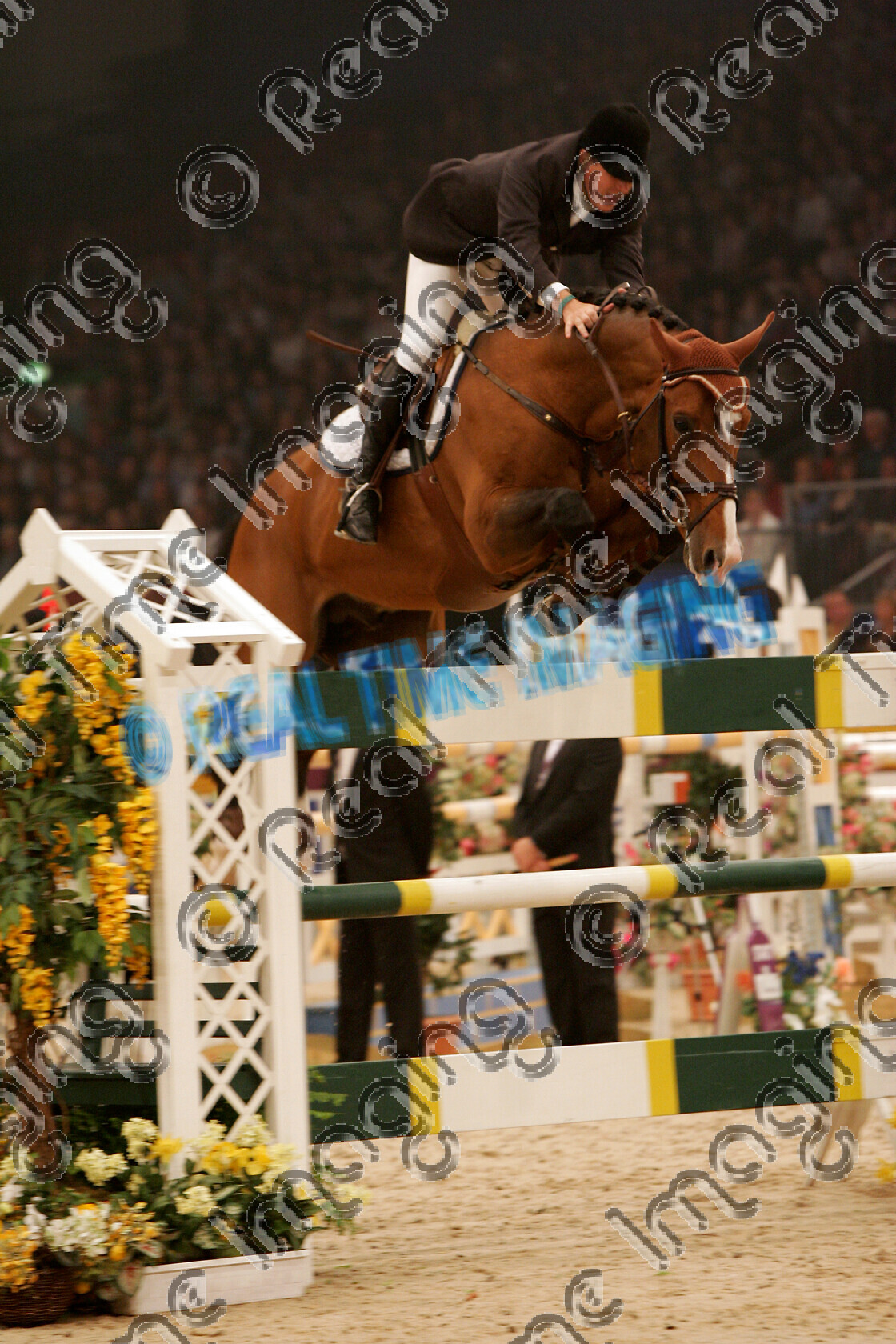 S05-67-10-027 
 HOYS 2005: The Accumulator Winner 
 Keywords: horse of the year show 2005 05 hoys saturday 15 10 october showjumping showjumper 22 Accumulator Winner 78 Andiamo Z Kristof Cleeren bay stallion jump jumping fence action