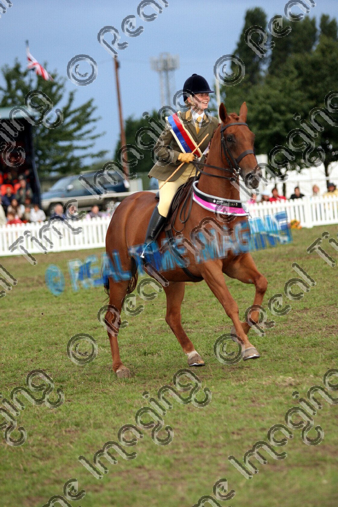 S06-50-10-228 
 Keywords: 345 Apple Jack II Lee Smith champion of champions Owned by Hannah Hunter Ponies Association (UK) Summer Championship Show cantering canter action chestnut lap of honour sash rosette rosettes evening performance