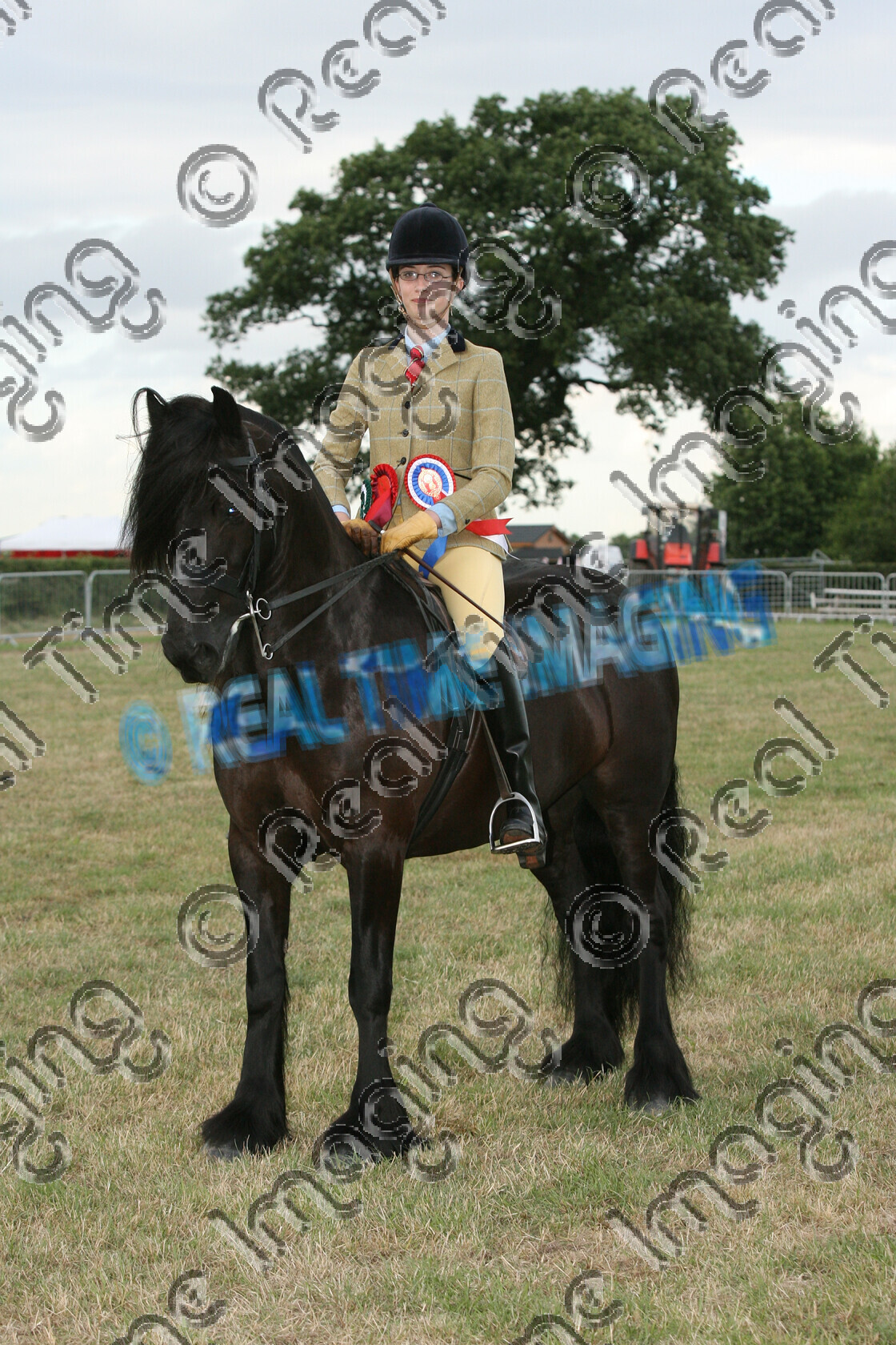 S07-31-13-043 
 Keywords: 370, CASTLE HILL GLEN, HOYS, Ridden, Mountain and Moorland M&M, Championship, Champion, winner win won, `Owner: , Holmes, Miss C, `Rider: , Briony Ford, June 2007, Cheshire County Show, Tabley, Knutsford, Cheshire, Fell, Native Breed, black, horse pony, sport, stand, upright portrait, presentation, Rosette