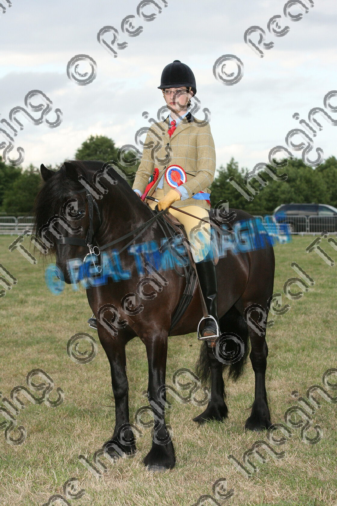 S07-31-13-039 
 Keywords: 370, CASTLE HILL GLEN, HOYS, Ridden, Mountain and Moorland M&M, Championship, Champion, winner win won, `Owner: , Holmes, Miss C, `Rider: , Briony Ford, June 2007, Cheshire County Show, Tabley, Knutsford, Cheshire, Fell, Native Breed, black, horse pony, sport, stand, upright portrait, presentation, Rosette