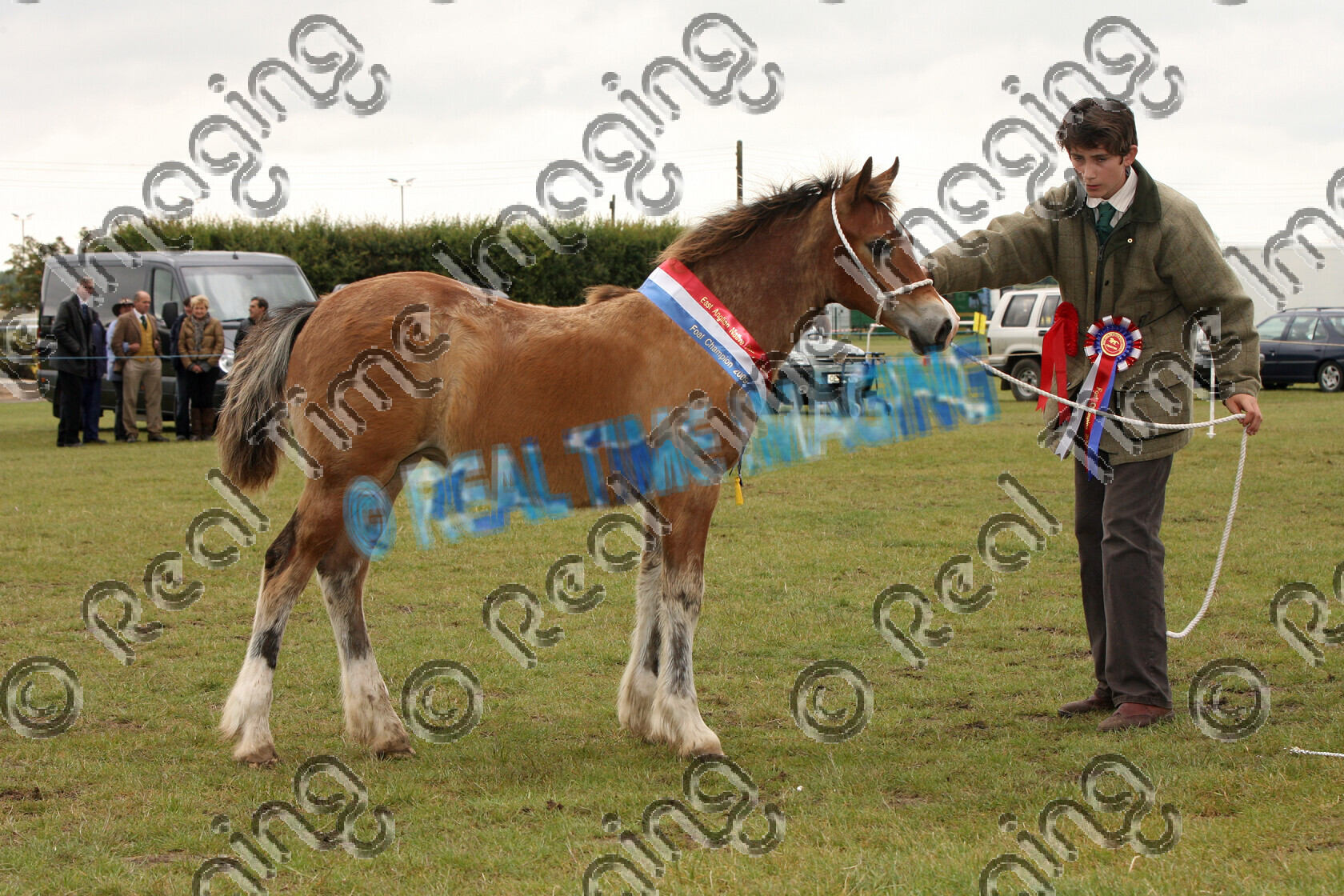 S09-25-05-219 
 Keywords: East Anglian Native Pony Society Annual Show, Huntingdon Racecourse, Cambridgeshire, UK, Sunday, 7, June, 2009, view landscape, Foal, Championship, 1st first, Champion, winner win won, 418, GREENWING CRYSTAL, `Owner: , Smith, Mr & Mrs, chestnut, Welsh Section D, Mountain and Moorland M&M, Native Breed, in hand, Rosette, sash, stand, presentation